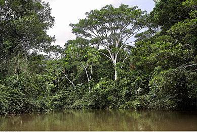 《浩劫前夕》仍有超百人游玩 激活码被炒出天价